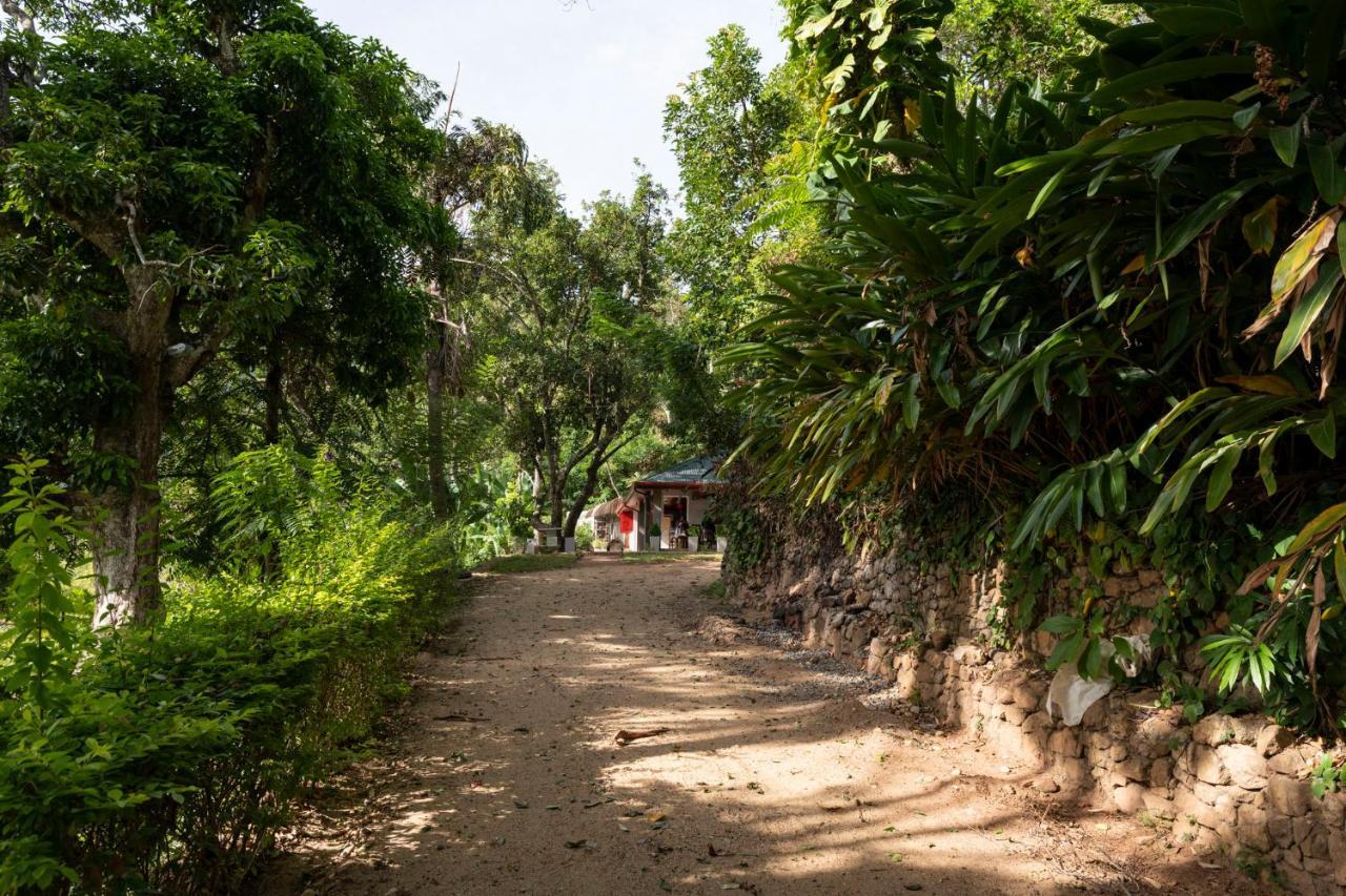 Roseland Cottages Bandarawela Eksteriør billede