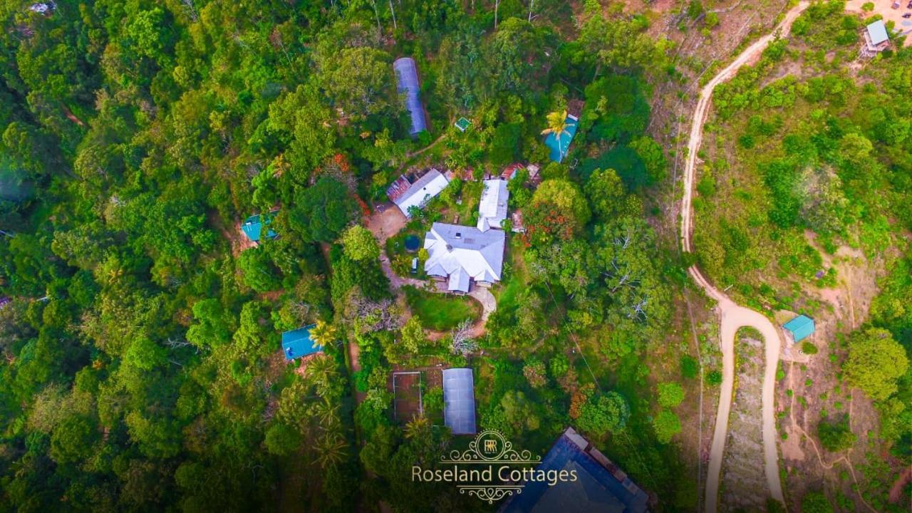 Roseland Cottages Bandarawela Eksteriør billede
