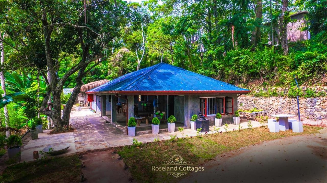 Roseland Cottages Bandarawela Eksteriør billede