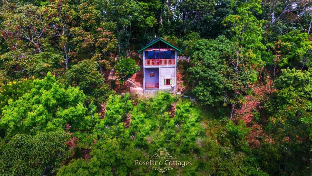 Roseland Cottages Bandarawela Eksteriør billede