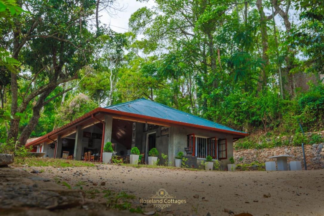 Roseland Cottages Bandarawela Eksteriør billede