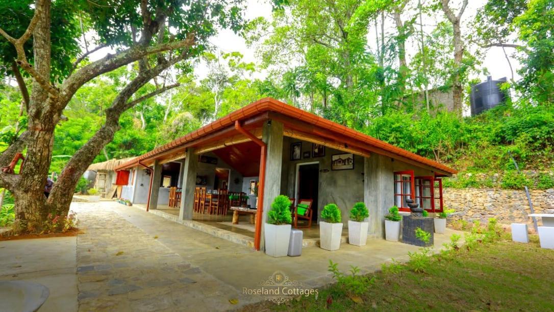 Roseland Cottages Bandarawela Eksteriør billede
